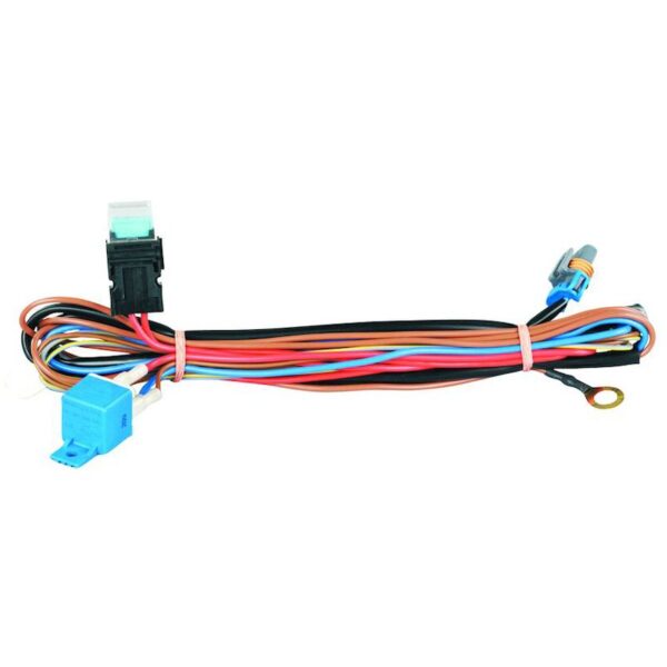 Wiring Harness - High Performance Xenon