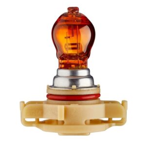 Bulb - PSY24W - Standard - 12V - 24W - Socket Type: PG20/4 - Box - Quantity: 1