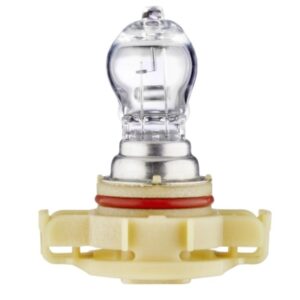 Bulb - PSX24W - Standard - 12V - 24W - Socket Type: PG20/7 - Box - Quantity: 1