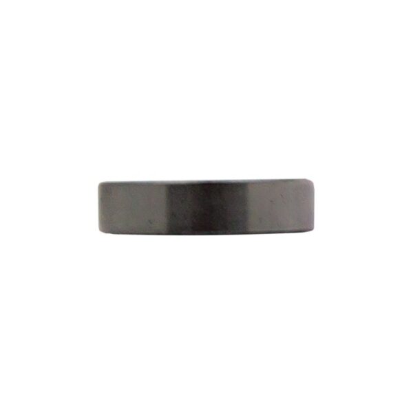 ACT Pilot Bearing