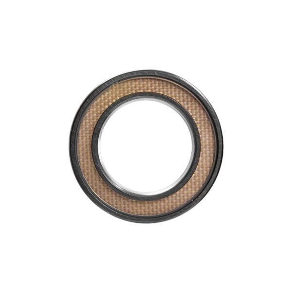 ACT Pilot Bearing