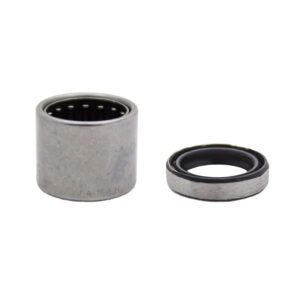 ACT Pilot Bearing