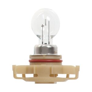 HELLA PSX24W Standard Series Incandescent Miniature Light Bulb