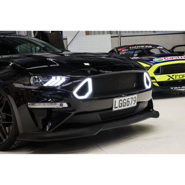 RTR Lower Grille (18-23 GT, EcoBoost)