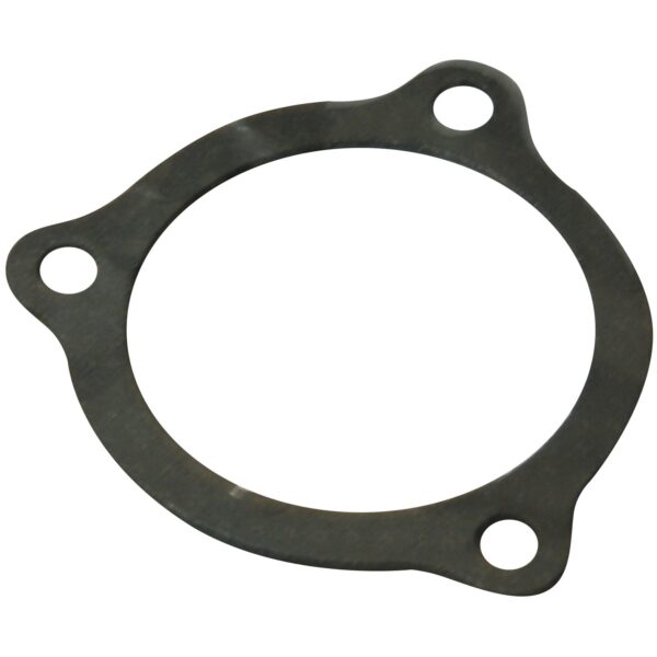 Exhaust Flange Gasket