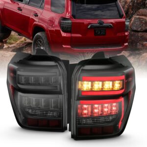 ANZO USA Tail Light Assembly