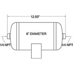 Ride-Rite Suspension Self-Leveling Unit