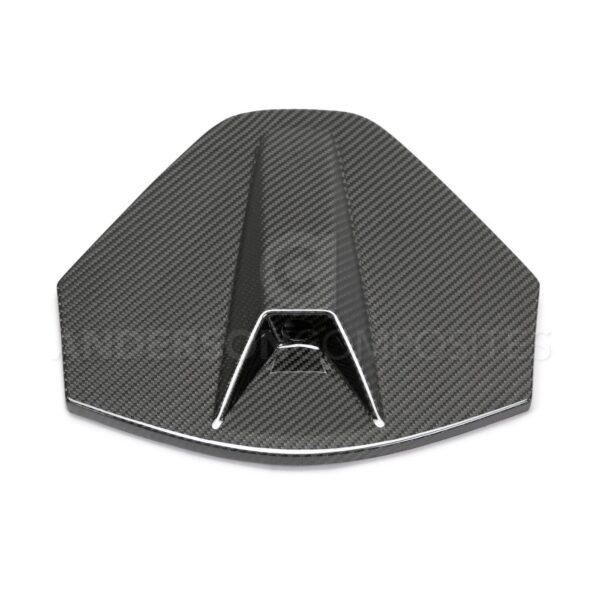 Anderson Composites, AC-DA20CHC8-C, carbon fiber rear decklid housing panel with camera