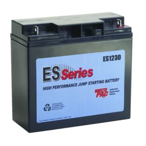 ES Series Replacement Battery for ES6000/ES8000/ES1224 (2 Batteries)