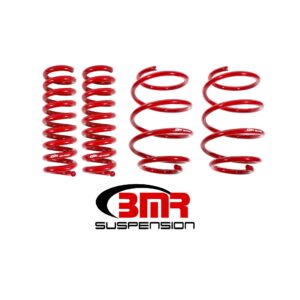 Lowering springs, set of 4, performance version