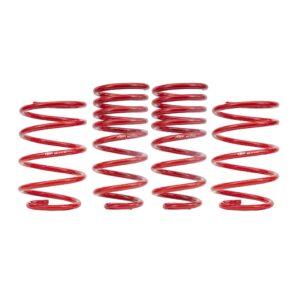 Lowering Spring Kit, Set Of 4, 1.0" Drop, V8