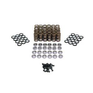 VR38 GT-R Ferrea Single Valve Spring and Seal Kit