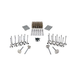 Ferrea VR38 Single Valve Spring and Valve Kit - Standard